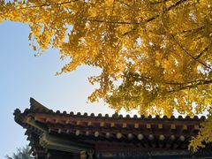 -法门文化景区