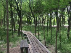 -昆山城市生态森林公园