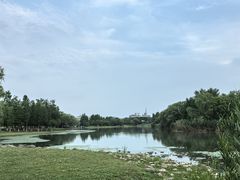 -长广溪湿地公园