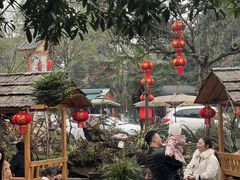 -青城甲(青城山店)