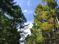 -帽儿山国家森林公园