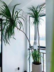 -吾之瑜生瑜伽普拉提学院