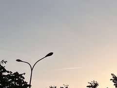 -真茶屋·0奶精(街道口一店)