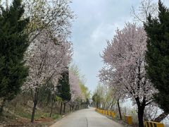 -终南山南五台景区