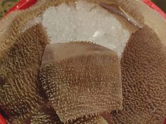 -蜀九鼎毛肚火锅(惠安店)