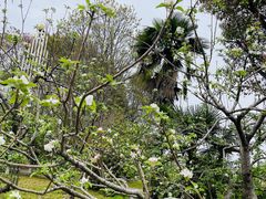 -祥源·阜阳生态乐园