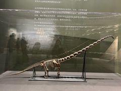 -遇见博物馆(遇见海洋沉浸式奇幻光影展)