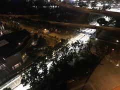 -新加坡丽思卡尔顿美年酒店