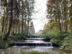 -桤木河湿地公园