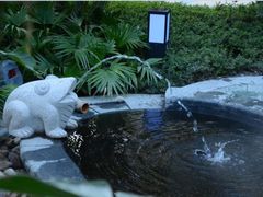 -汇雅温泉
