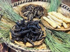 -昆虫窝子·特色云南菜(拓东路总店)
