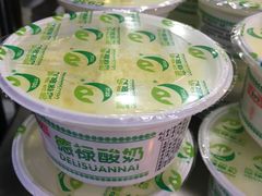 -德禄酸奶(莫家街店)