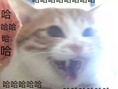 -山塘街小吃店
