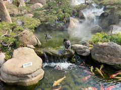 -罗红摄影艺术馆