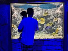 -福州罗源湾海洋世界旅游区