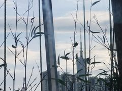 景观位-熹素·鲜美素食Vegetarian (天河领展店)