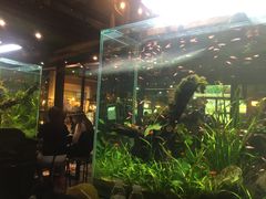 -The Dishes Seafood & Restaurant