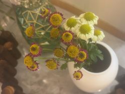 -雅曼妮spa美容养生