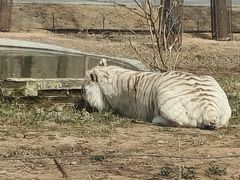 -秦皇岛野生动物园
