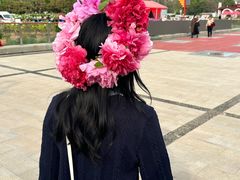 -曹州牡丹园