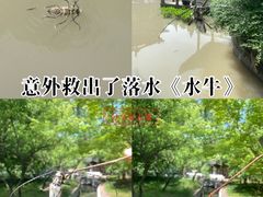 -交大留园(东川路店)