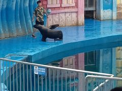 -华夏文旅海洋公园