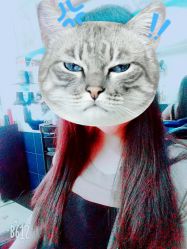 -OnHair造型