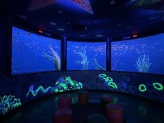 -沈阳海洋探索中心