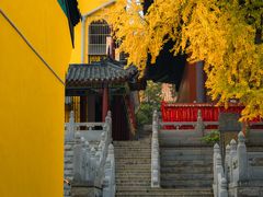 -宝通禅寺