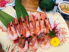 -森味薪火烧•烧鸟居酒屋•日本料理(望京店)