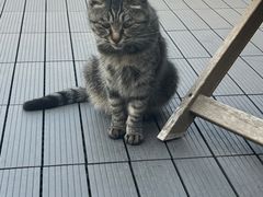 -前叁門