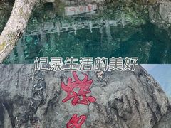-蝴蝶泉公园