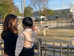 -祥源·阜阳生态乐园