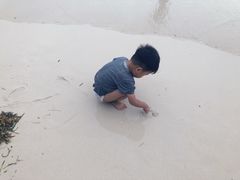 -白沙滩