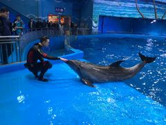 -多彩贵州城极地海洋世界