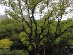 -和平公园