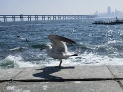 -星海广场