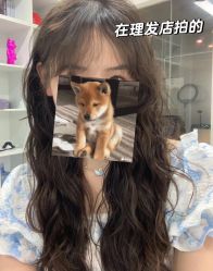 -ASG Hair Salon烫染·接发