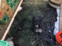 -旭龙鱼头王(航华店)