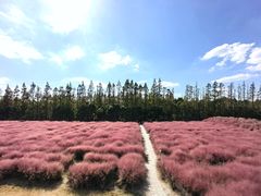 -嘉北郊野公园