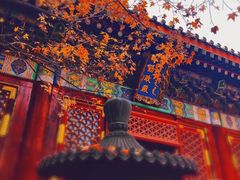 -香山公园