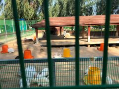 -羊亭河湿地公园