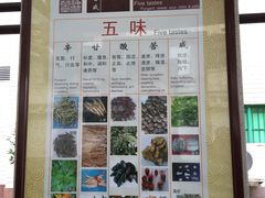 -广州神农草堂中医药博物馆