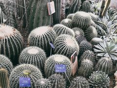 -国家植物园南园