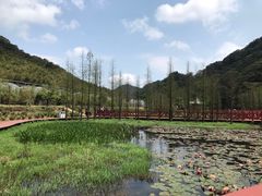-广州市石门国家森林公园