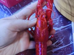 -江湖亮亮蒸虾大排档烤全羊清真(武汉总店)