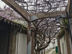 -东山风景区(洞庭东山)