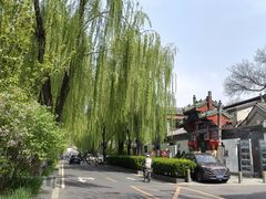 -百花深处胡同