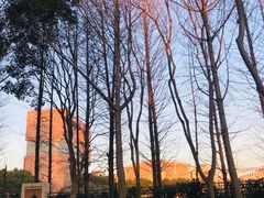 -华东师范大学第二附属中学(张江校区)