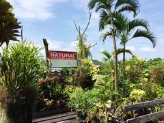 -自然餐厅(Phuket)